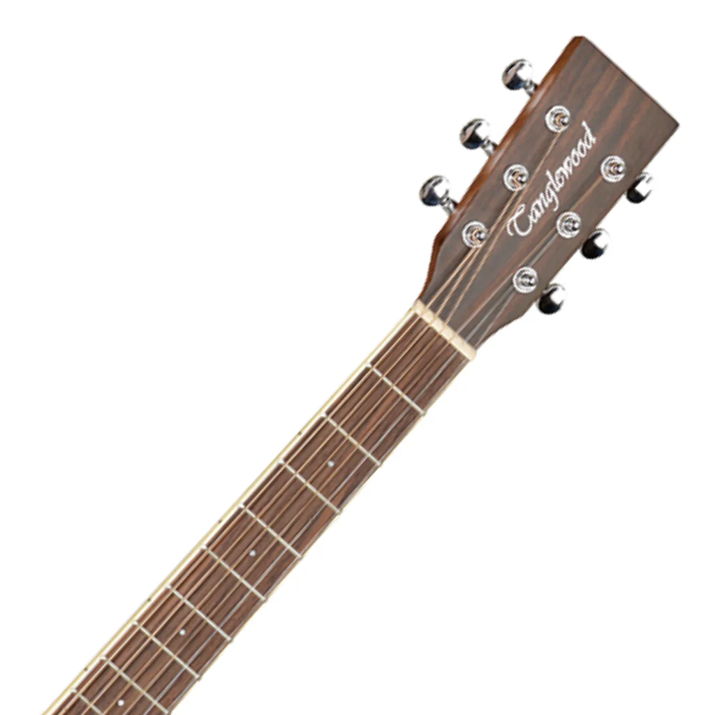 Tanglewood Winterleaf Dreadnought C/E - Image 4