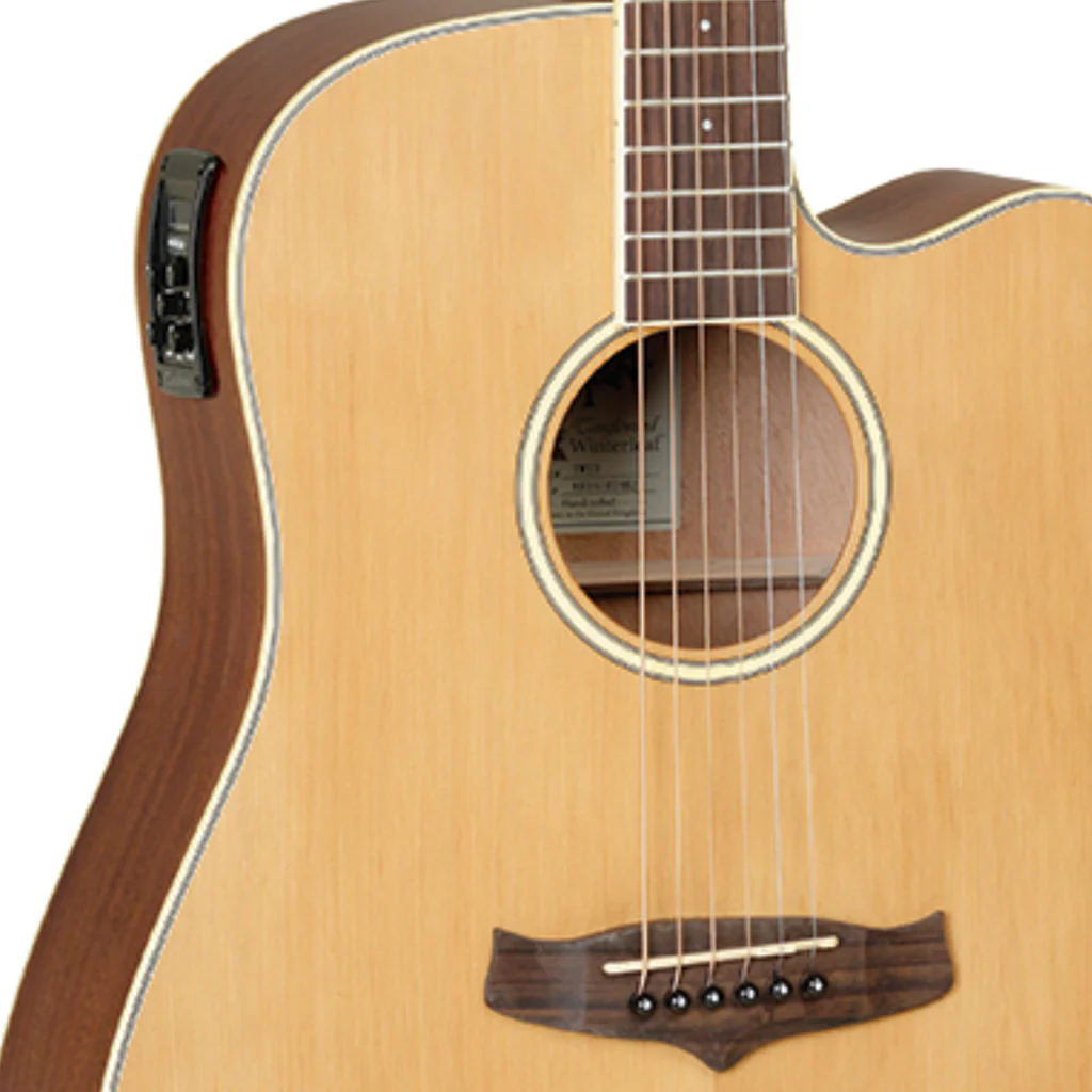 Tanglewood Winterleaf Dreadnought C/E - Image 6